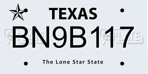 BN9B117 Texas License Plate