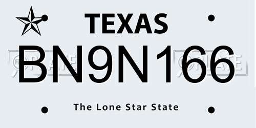 BN9N166 Texas License Plate