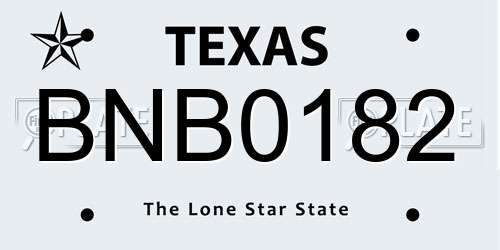 BNB0182 Texas License Plate