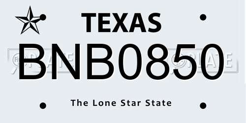 BNB0850 Texas License Plate