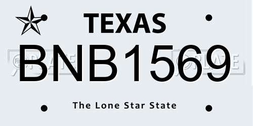 BNB1569 Texas License Plate