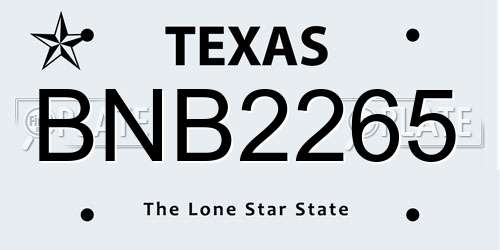 BNB2265 Texas License Plate