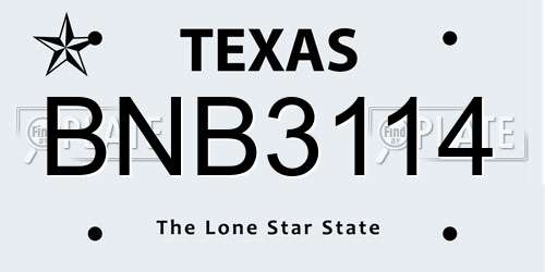 BNB3114 Texas License Plate