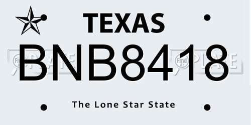 BNB8418 Texas License Plate