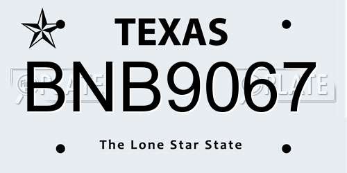 BNB9067 Texas License Plate