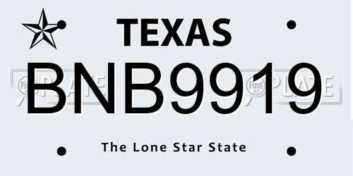 BNB9919 Texas License Plate