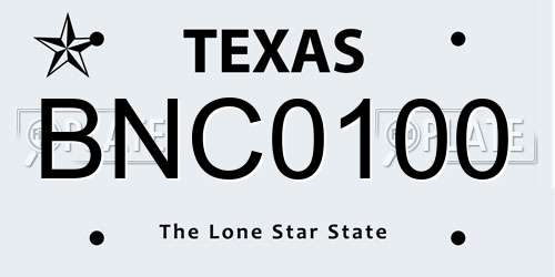 BNC0100 Texas License Plate