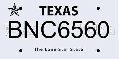 BNC6560 Texas License Plate