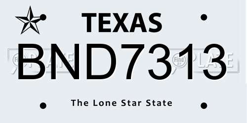 BND7313 Texas License Plate