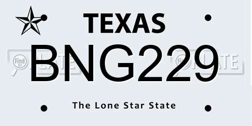BNG229 Texas License Plate