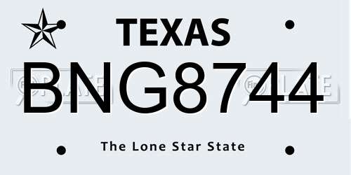BNG8744 Texas License Plate
