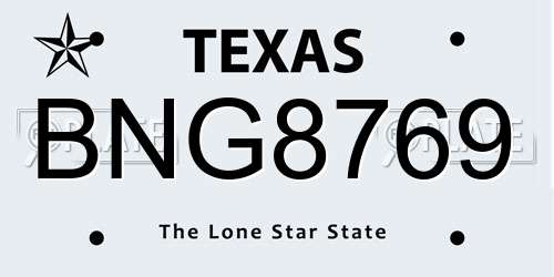 BNG8769 Texas License Plate