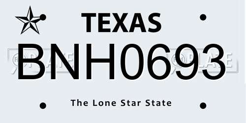 BNH0693 Texas License Plate