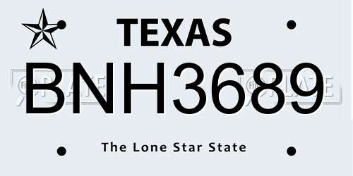 BNH3689 Texas License Plate