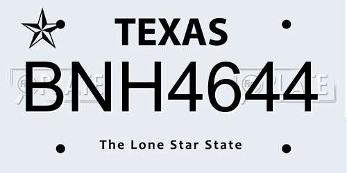 BNH4644 Texas License Plate