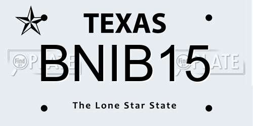 BNIB15 Texas License Plate