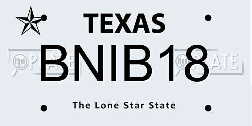 BNIB18 Texas License Plate