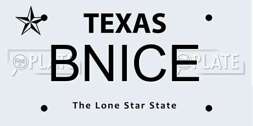 BNICE Texas License Plate
