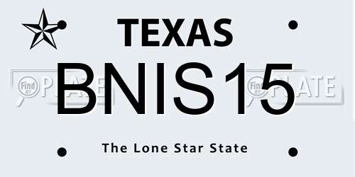 BNIS15 Texas License Plate