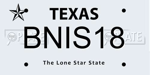 BNIS18 Texas License Plate