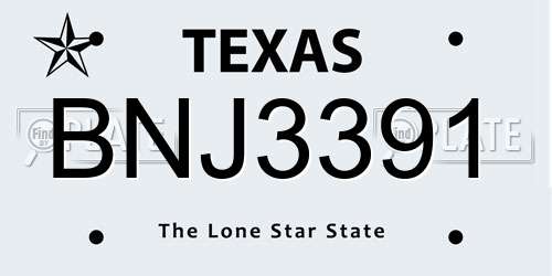 BNJ3391 Texas License Plate