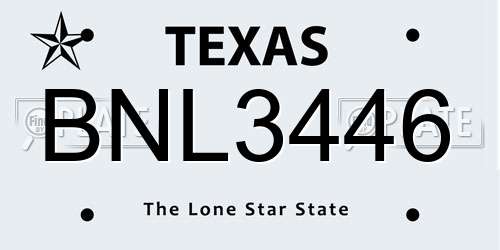 BNL3446 Texas License Plate
