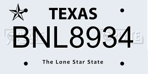 BNL8934 Texas License Plate