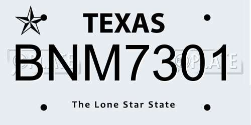BNM7301 Texas License Plate