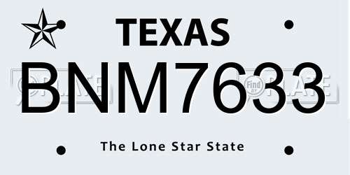 BNM7633 Texas License Plate