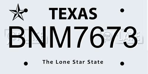 BNM7673 Texas License Plate
