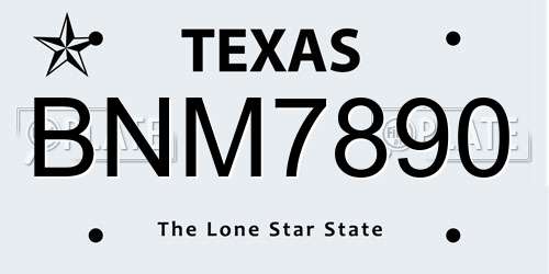 BNM7890 Texas License Plate