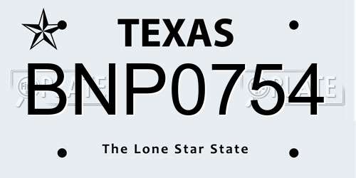BNP0754 Texas License Plate