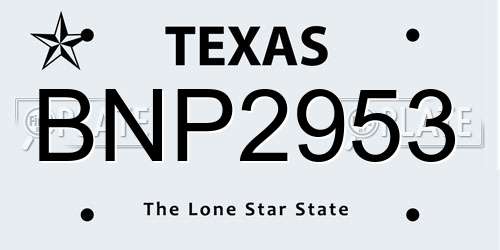 BNP2953 Texas License Plate