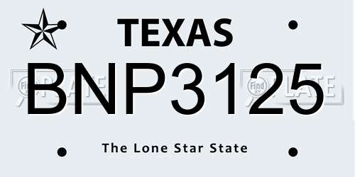 BNP3125 Texas License Plate