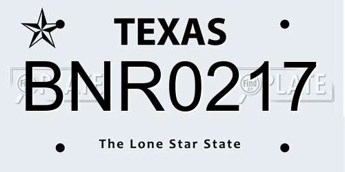BNR0217 Texas License Plate