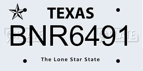 BNR6491 Texas License Plate
