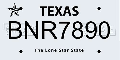 BNR7890 Texas License Plate