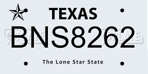BNS8262 Texas License Plate