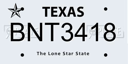 BNT3418 Texas License Plate
