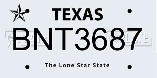 BNT3687 Texas License Plate