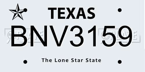 BNV3159 Texas License Plate