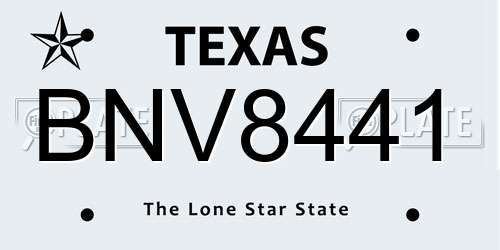 BNV8441 Texas License Plate