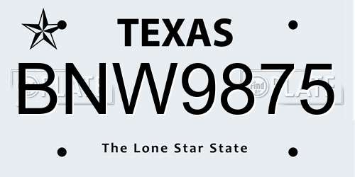 BNW9875 Texas License Plate