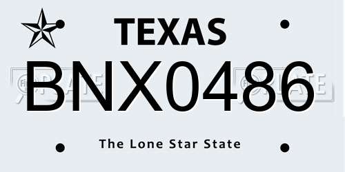 BNX0486 Texas License Plate