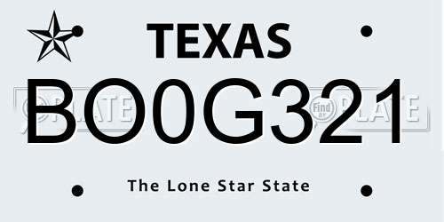 BO0G321 Texas License Plate