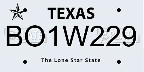 BO1W229 Texas License Plate