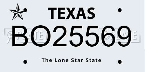 BO25569 Texas License Plate
