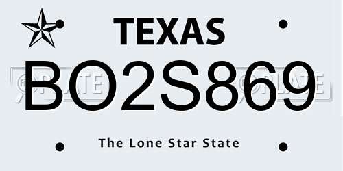 BO2S869 Texas License Plate