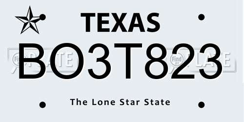 BO3T823 Texas License Plate