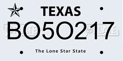 BO5O217 Texas License Plate